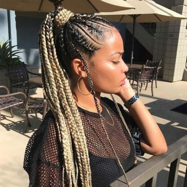 two-toned braids