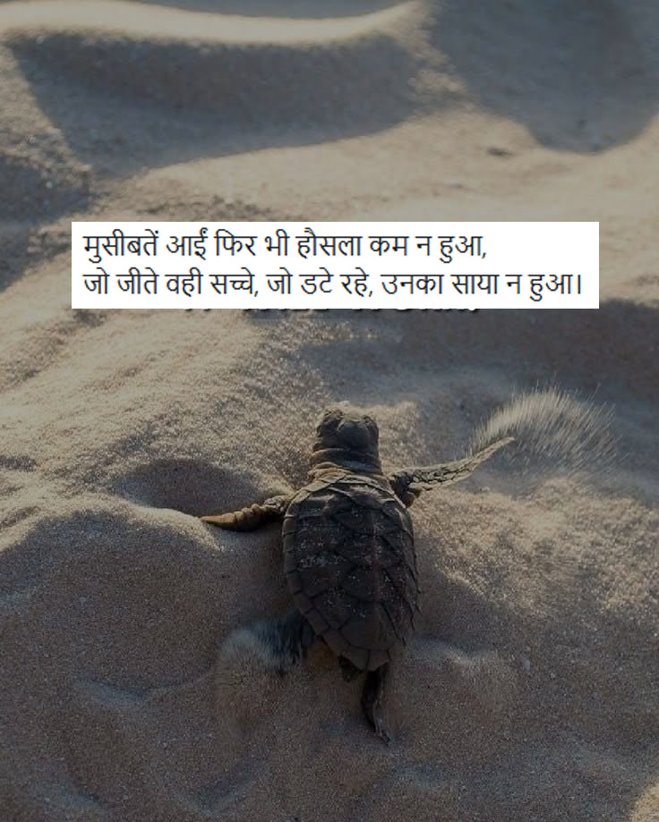 संघर्ष हौसला पर शायरी 2 Line
