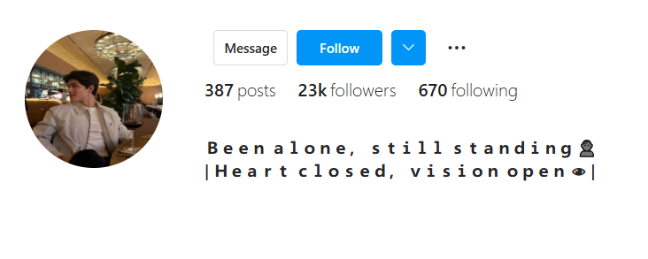 Instagram Bio For Boys Stylish Font Single